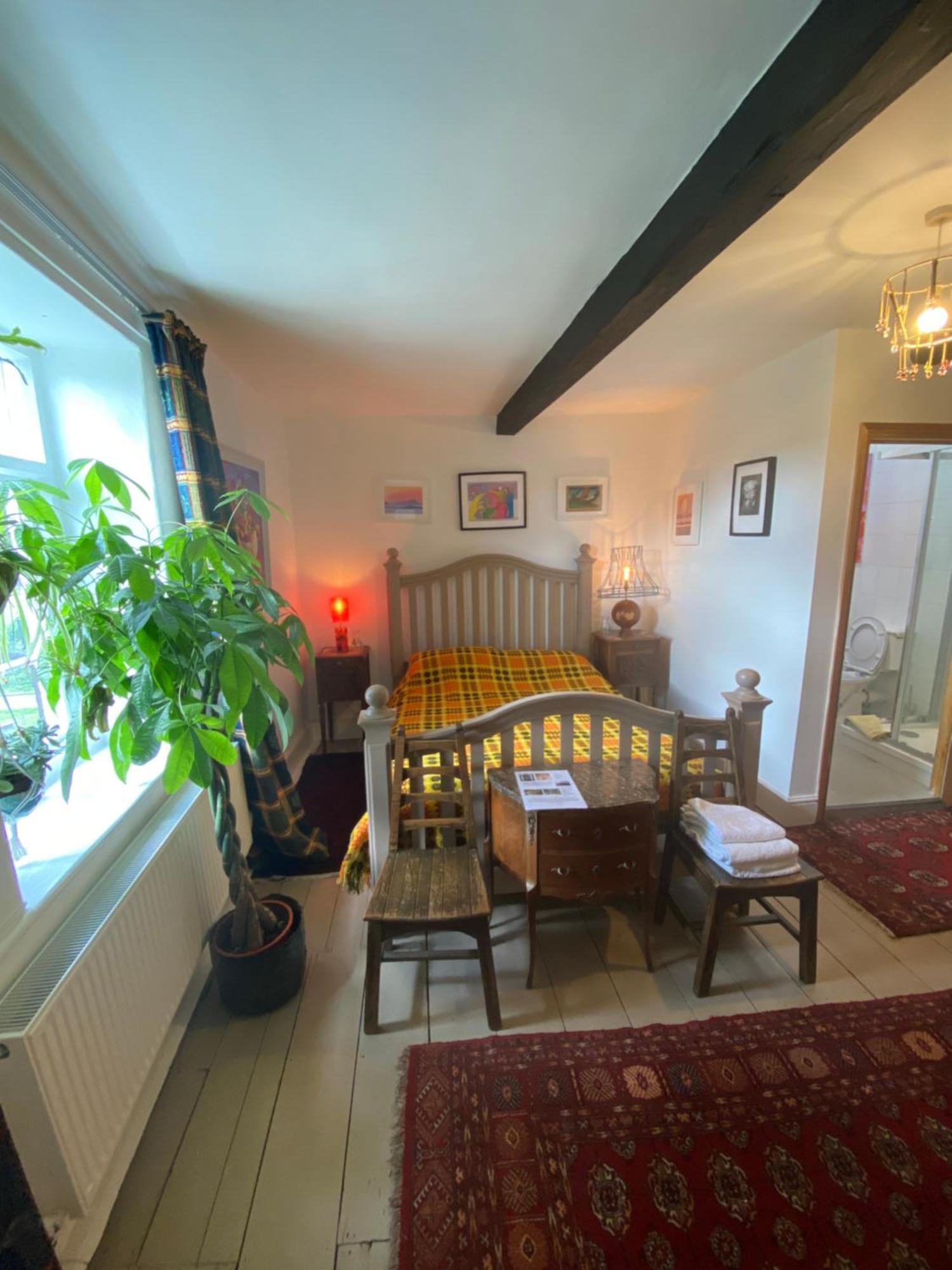 Art House B & B Raglan Room photo